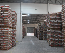 Estado e setor privado discutem ações para impulsionar a produção de mandioca