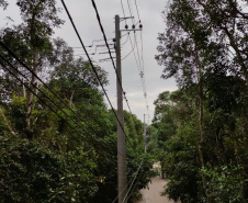 Microrrede com geração solar vai combinar eficiência e sustentabilidade para abastecer comunidade da Ilha do Mel 