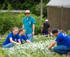 COLÉGIO AGRÍCOLA