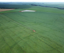Secretaria da Agricultura divulga nova estimativa da safra 2022/23