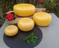 queijo