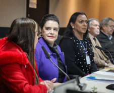 Estado empossa novos membros no Conselho Permanente dos Direitos Humanos do Paraná