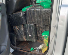 Polícia Civil do Paraná apreende 3,4 toneladas de maconha em Cascavel