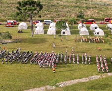 Brigadistas Voluntários
