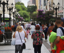 Metade dos consumidores cadastrados no Programa Nota Paraná tem até 40 anos
