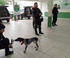 Deppen de Foz do Iguaçu promove palestra sobre prevenção às drogas