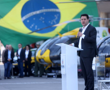 FALCÃO