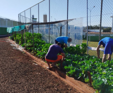 Projeto Semear, da Polícia Penal do Paraná, fornece alimentação orgânica a crianças de escola municipal em Foz do Iguaçu