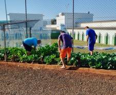 Projeto Semear, da Polícia Penal do Paraná, fornece alimentação orgânica a crianças de escola municipal em Foz do Iguaçu