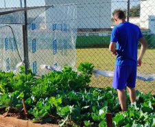 Projeto Semear, da Polícia Penal do Paraná, fornece alimentação orgânica a crianças de escola municipal em Foz do Iguaçu