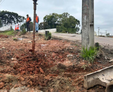  Viaduto de Curitiba recebe novos passeios para pedestres 