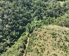  O IAT emitiu 154 Autos de Infração Ambiental (AIA) em sete municípios do Vale do Ribeira
