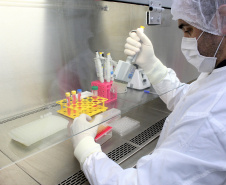 China passa a aceitar laudos do Tecpar para sorologia antirrábica veterinária