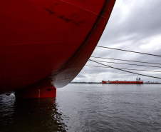 Porto de Paranaguá recebe primeiro navio "verde" do mundo nesta sexta-feira