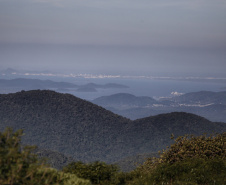  Por causa da atuação das Unidades de Conservação, 98 municípios do Paraná possuem taxas elevadas de absorção de gases do efeito estufa.
