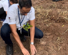 No Dia da Árvore, Estado completa meta de mil nascentes de água protegidas