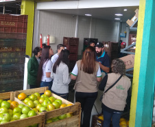 Ceasa Curitiba inicia campanha de conscientização de ambiente limpo