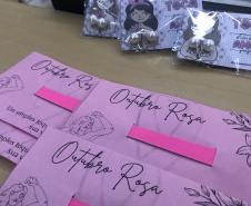 Com foco na saúde da mulher, Governo do Estado promove a 1ª etapa do Paraná Rosa em Ação