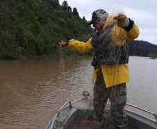 defeso da piracema, período de restrição à pesca de espécies nativas , começa nesta quarta-feira (1º) e vai até 28 de fevereiro