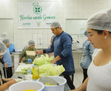 ALIMENTAÇÃO