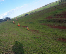 Conservação da faixa de domínio das rodovias estaduais prevê investimento de R$ 768,3 mi 
