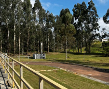 SANEPAR SELO OURO
