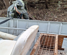 Fiscais do IAT encontraram três ranchos que serviam de alojamento para caçadores às margens do Rio Tibagi, em Ponta Grossa.