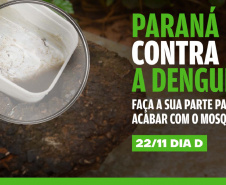 DENGUE