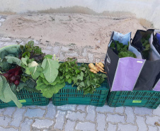 Cestas Solidárias: há 6 anos aproximando agricultores e consumidores