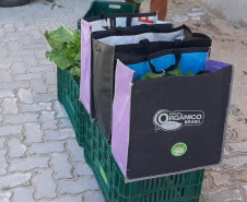 Cestas Solidárias: há 6 anos aproximando agricultores e consumidores