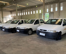 Estado promove leilão de veículos com mais de 200 veículos recuperáveis; Lances a partir de R$438