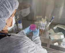 Tecpar e Fiep realizam evento sobre biotecnologia na saúde