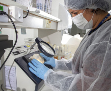 Tecpar e Fiep realizam evento sobre biotecnologia na saúde