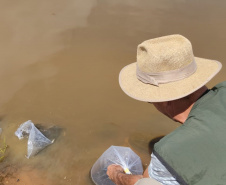 IAT SOLTTURA PEIXES