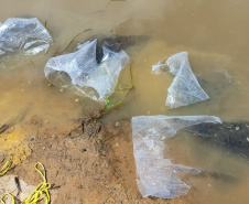 IAT SOLTTURA PEIXES