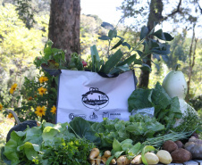 Cestas Solidárias: há 6 anos aproximando agricultores e consumidores