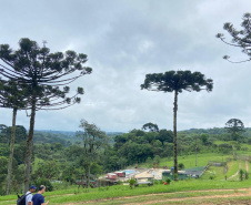 IDR TURISMO MIRINGUAVA