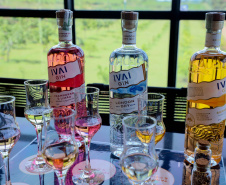No Paraná, é possível brindar com bebidas de destaque internacional produzidas aqui mesmo.