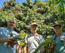 IDR PRODUÇÃO AGRÍCOLA