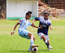Com conquistas nacionais e calendário cheio, esporte do Paraná teve ano de glórias