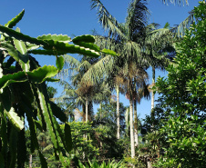 IDR PRODUÇÃO AGRÍCOLA