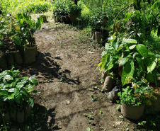 IDR PRODUÇÃO AGRÍCOLA