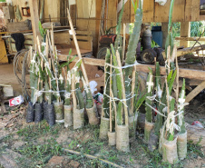IDR PRODUÇÃO AGRÍCOLA