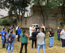 Paraná aposta na capacitação, informação e monitoramento no controle das arboviroses