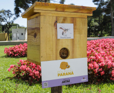 Paraná avança em programas de ação climática e se consolida como o estado mais sustentável do País