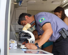 Segurança verão