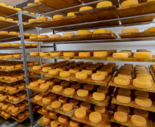 95 municípios já aderiram ao Susaf/PR para ampliar mercado de agroindústrias