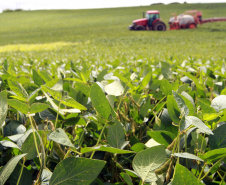 AGRICULTURA 