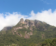 DESMATAMENTO