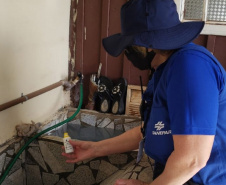 Segunda etapa de vistorias serão realizadas em Santa Terezinha de Itaipu